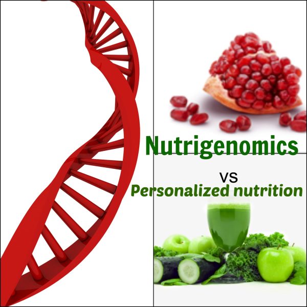 NUTRIGENOMICS AND NUTRIGENETICS ONLINE COURSE