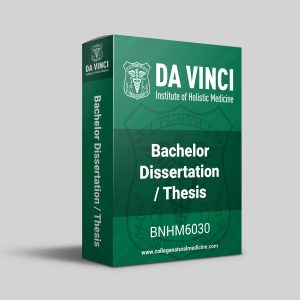 Bachelors Thesis